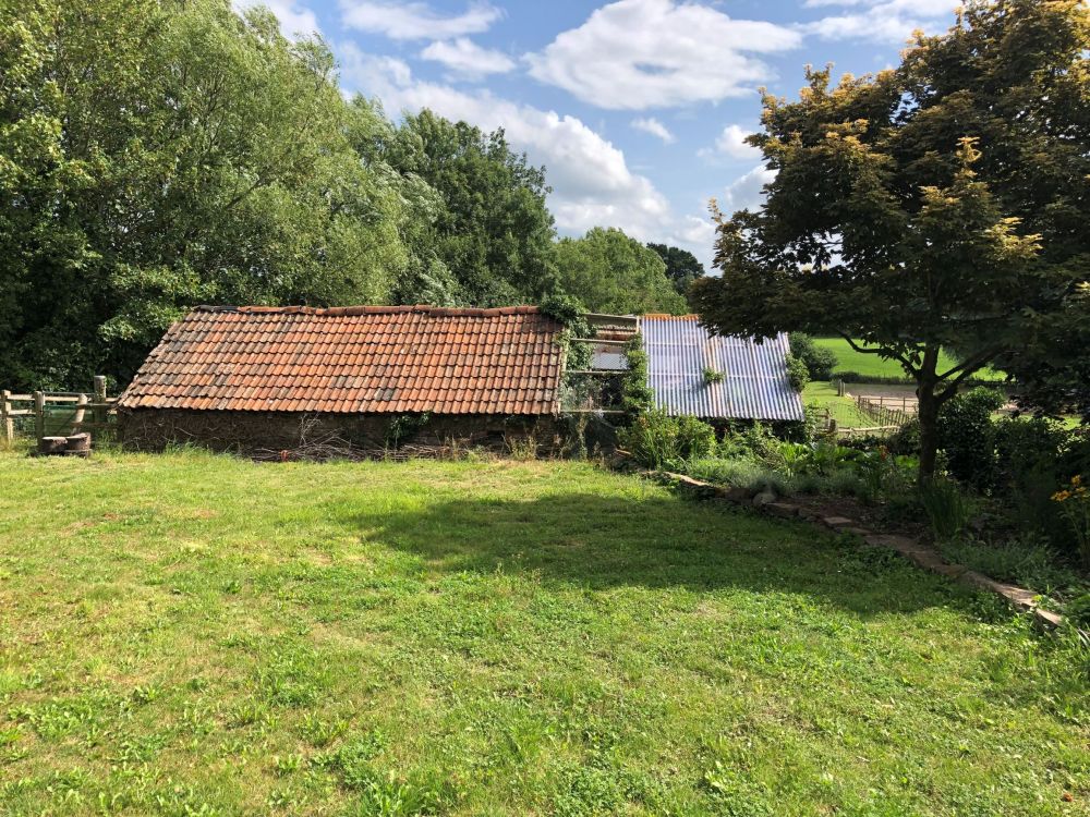 Sold Dairy Cattle Direct