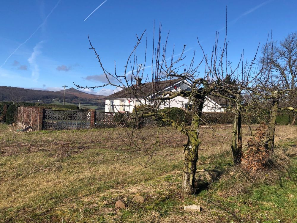 Sold Dairy Cattle Direct