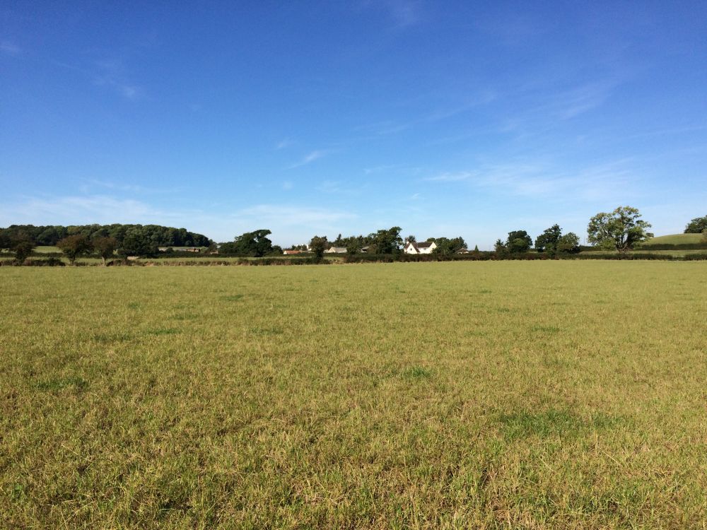 Sold Dairy Cattle Direct