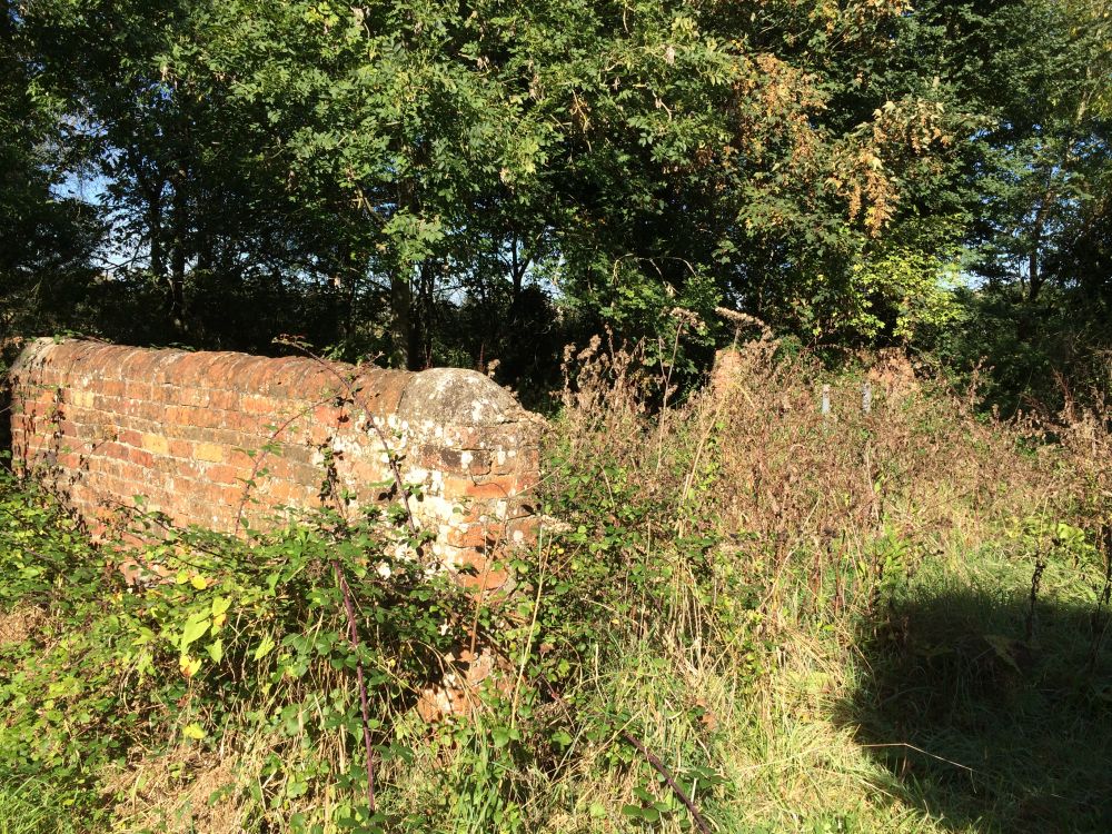 Sold Dairy Cattle Direct